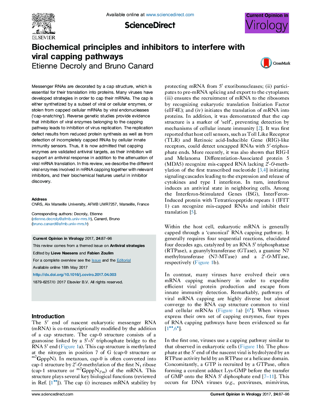 Biochemical principles and inhibitors to interfere with viral capping pathways