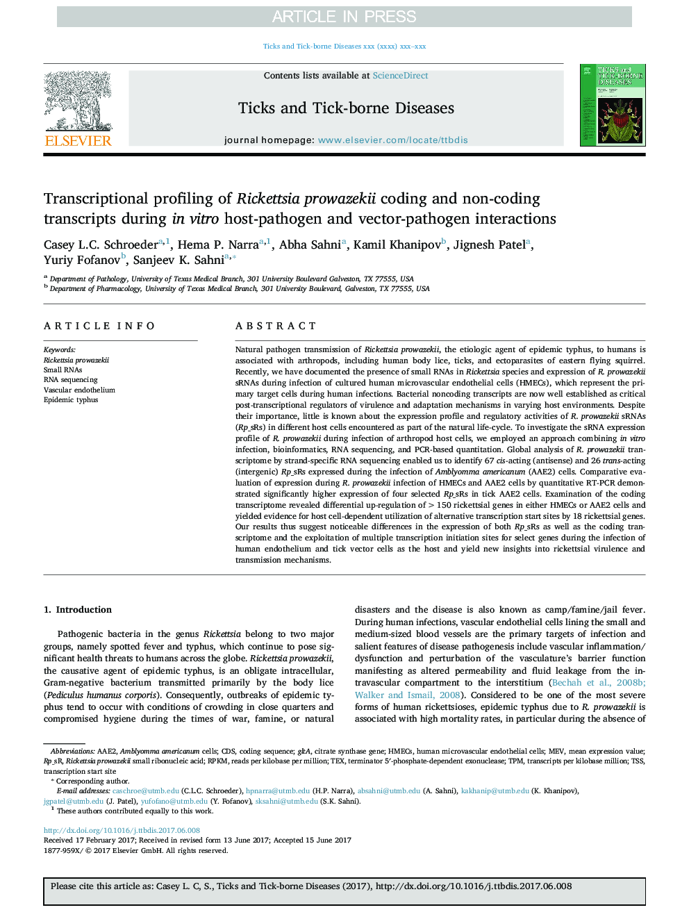 Transcriptional profiling of Rickettsia prowazekii coding and non-coding transcripts during in vitro host-pathogen and vector-pathogen interactions