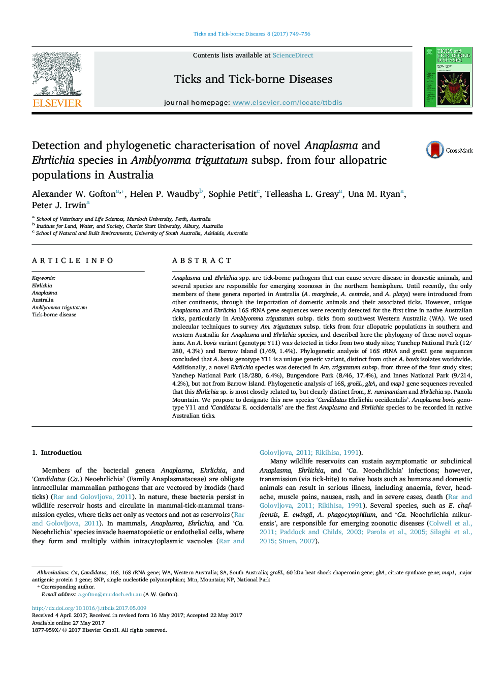 Detection and phylogenetic characterisation of novel Anaplasma and Ehrlichia species in Amblyomma triguttatum subsp. from four allopatric populations in Australia