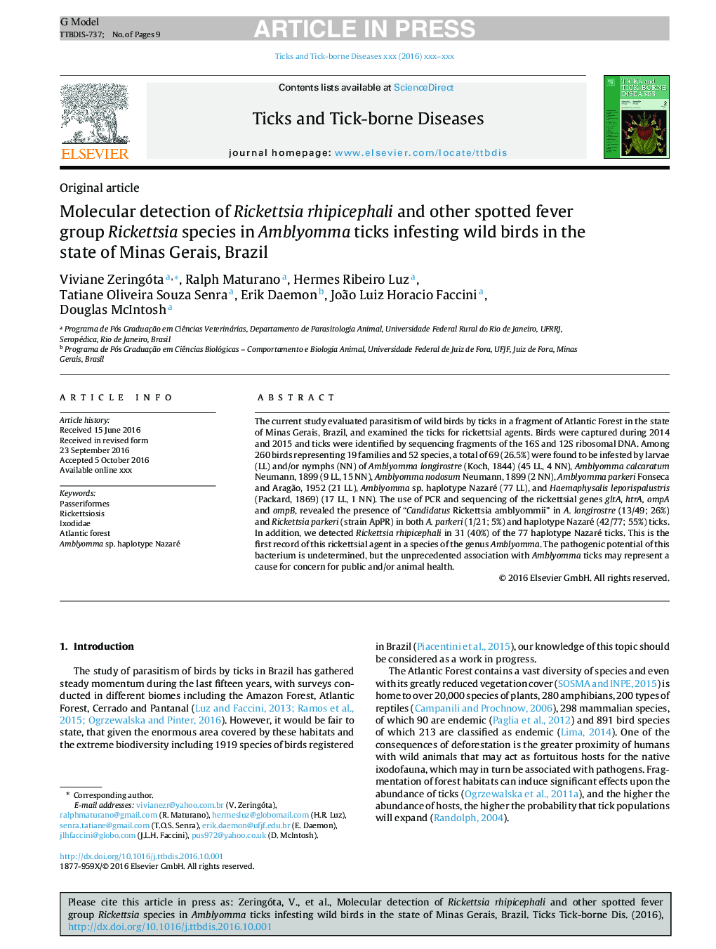 Molecular detection of Rickettsia rhipicephali and other spotted fever group Rickettsia species in Amblyomma ticks infesting wild birds in the state of Minas Gerais, Brazil