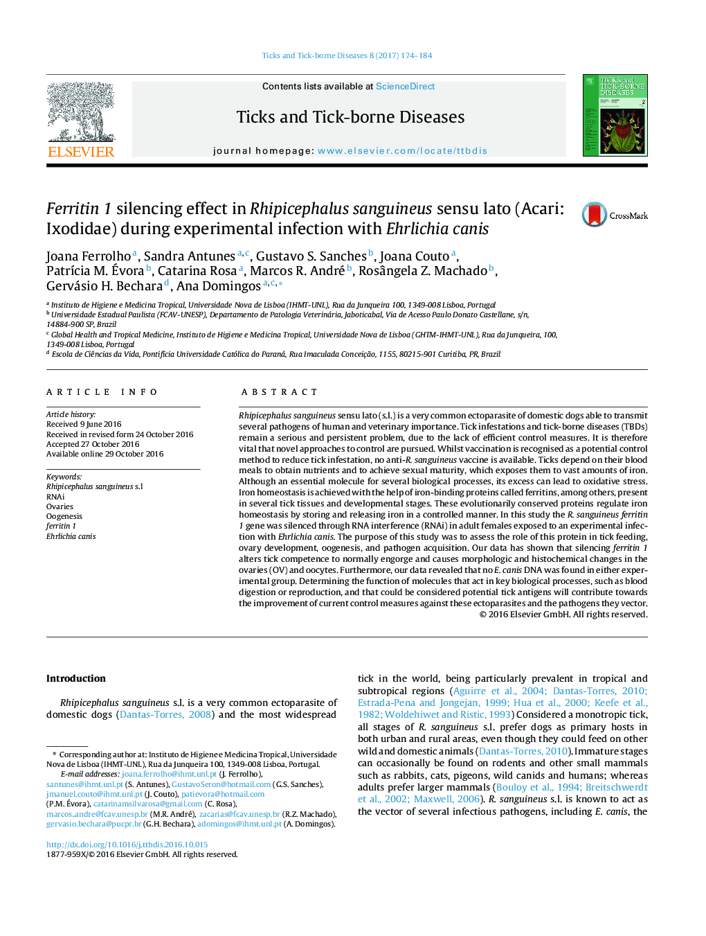 Ferritin 1 silencing effect in Rhipicephalus sanguineus sensu lato (Acari: Ixodidae) during experimental infection with Ehrlichia canis