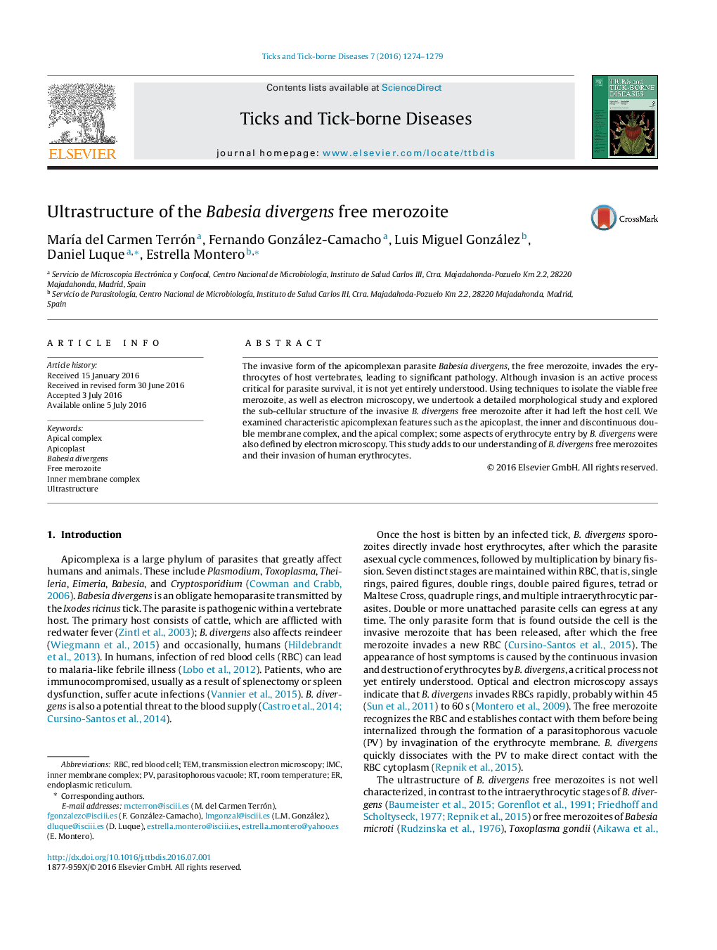 Ultrastructure of the Babesia divergens free merozoite