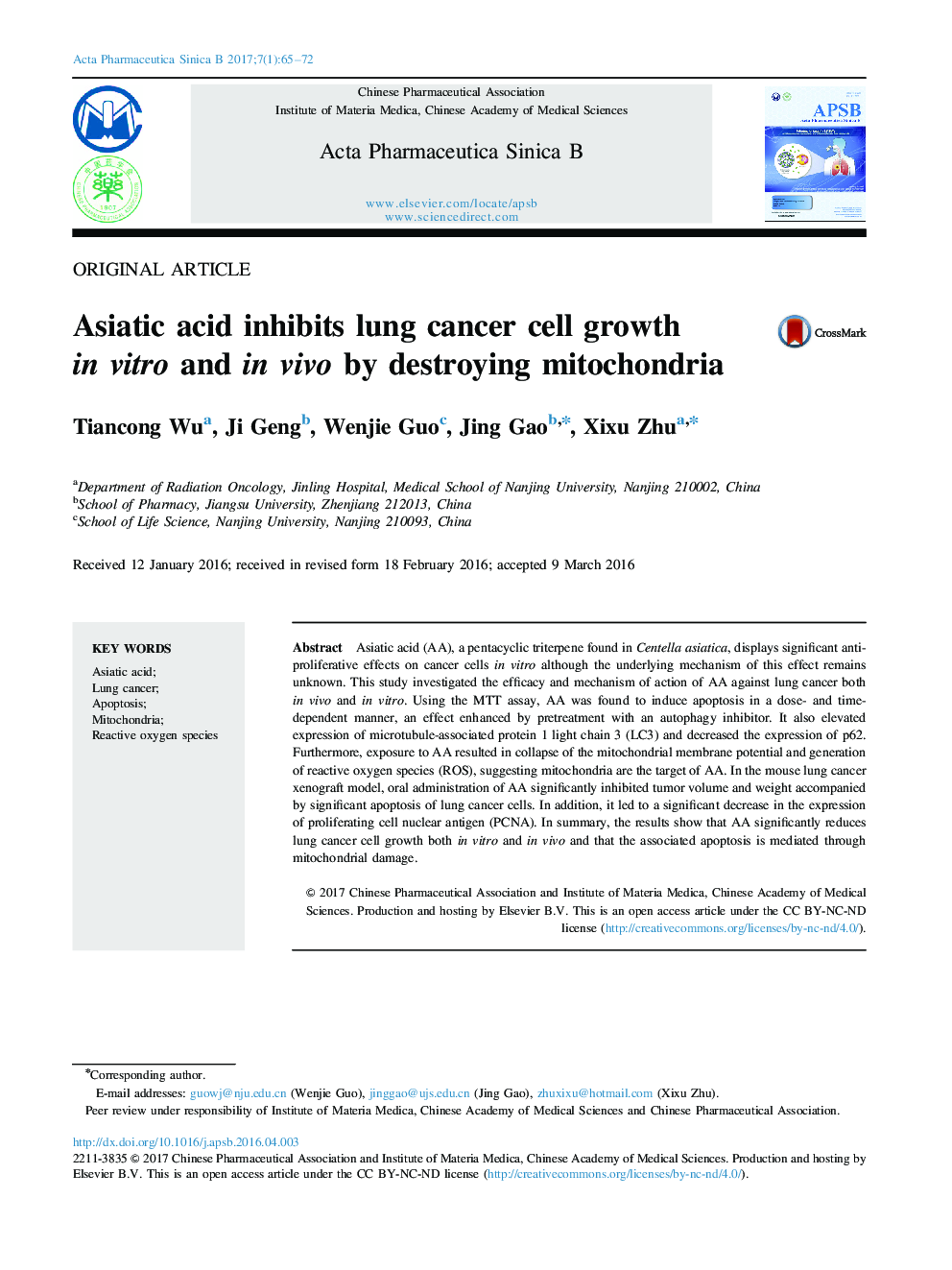 Asiatic acid inhibits lung cancer cell growth in vitro and in vivo by destroying mitochondria