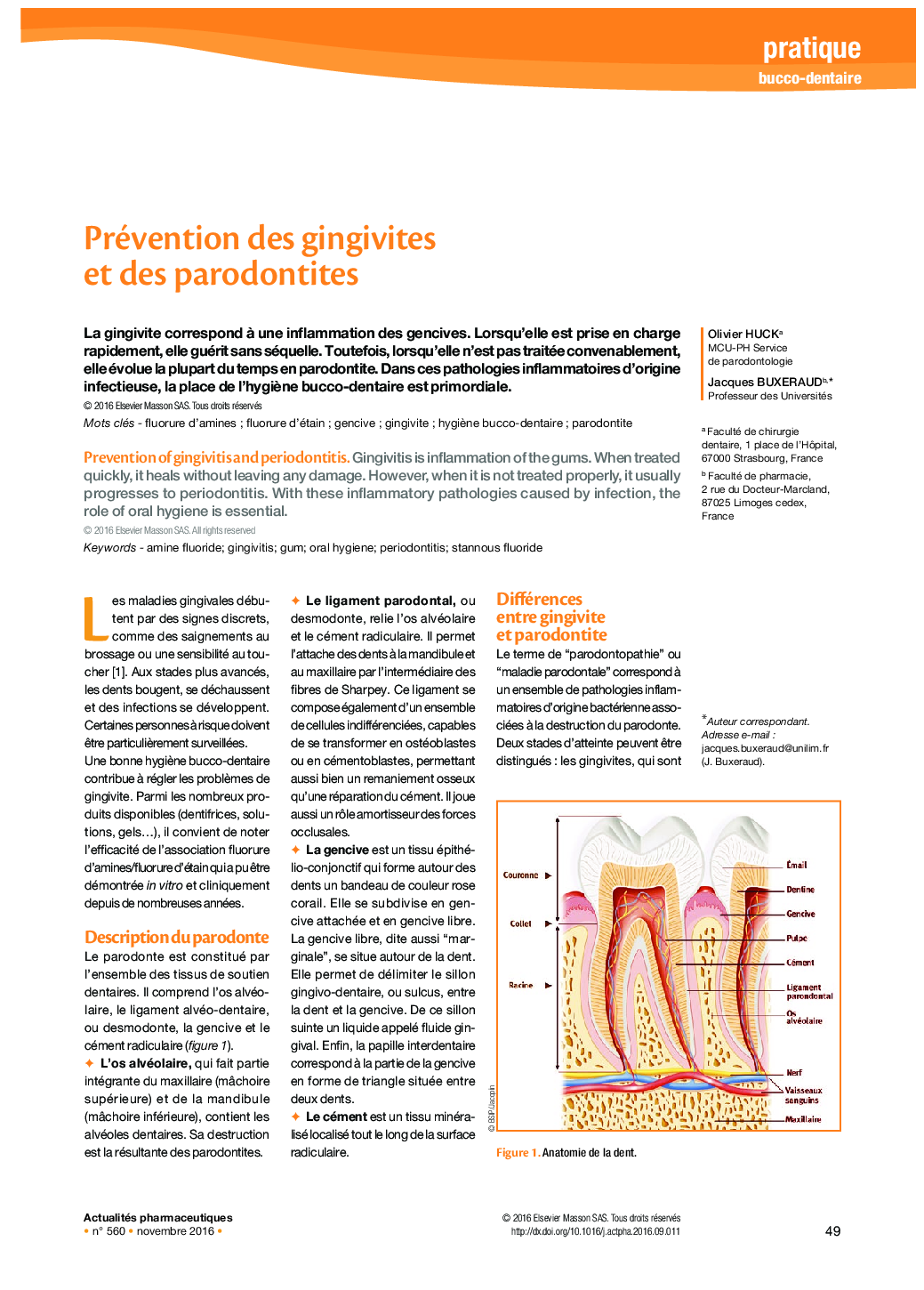 Prévention des gingivites et des parodontites