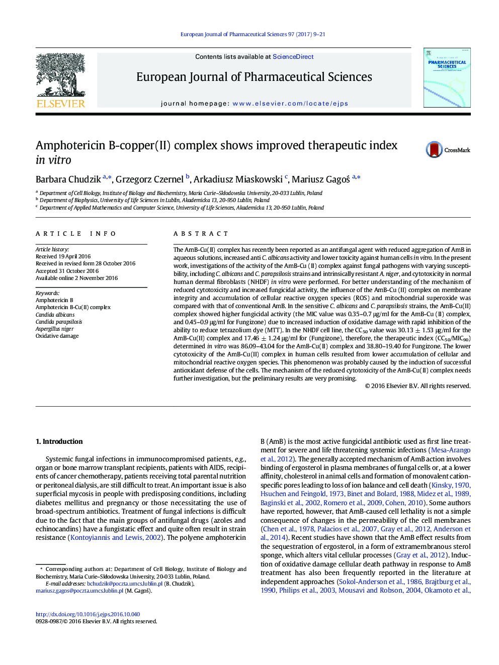 Amphotericin B-copper(II) complex shows improved therapeutic index in vitro