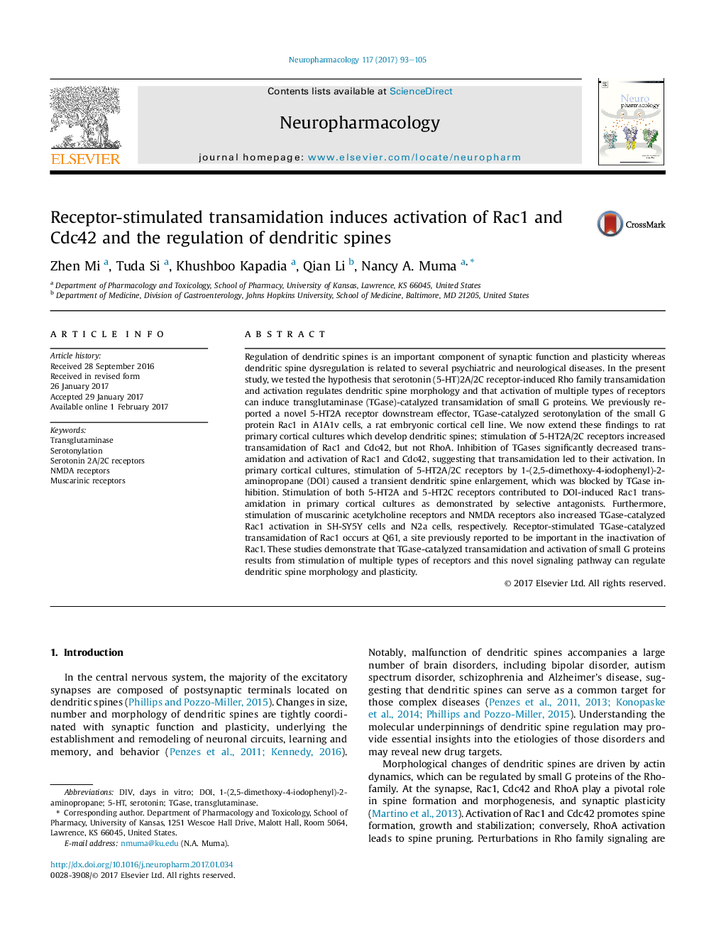 Receptor-stimulated transamidation induces activation of Rac1 and Cdc42 and the regulation of dendritic spines