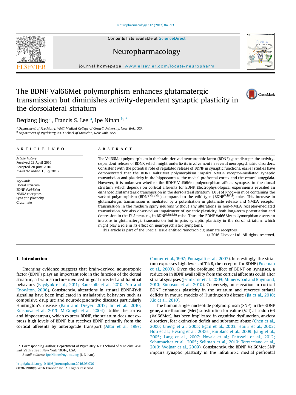 The BDNF Val66Met polymorphism enhances glutamatergic transmission but diminishes activity-dependent synaptic plasticity in the dorsolateral striatum