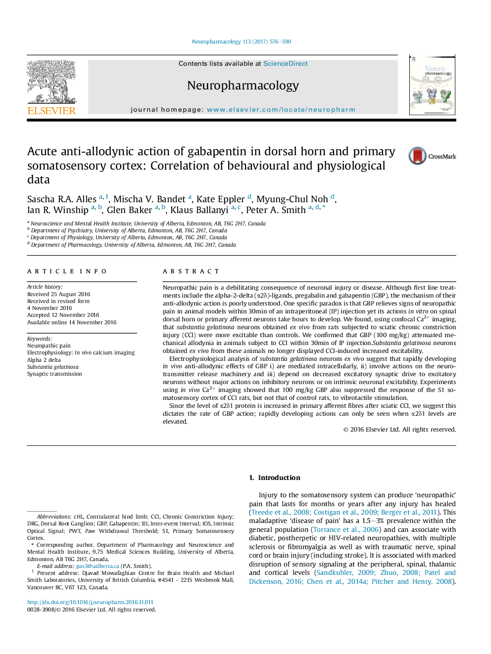 Acute anti-allodynic action of gabapentin in dorsal horn and primary somatosensory cortex: Correlation of behavioural and physiological data