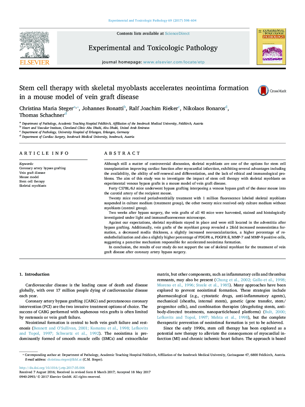 Stem cell therapy with skeletal myoblasts accelerates neointima formation in a mouse model of vein graft disease