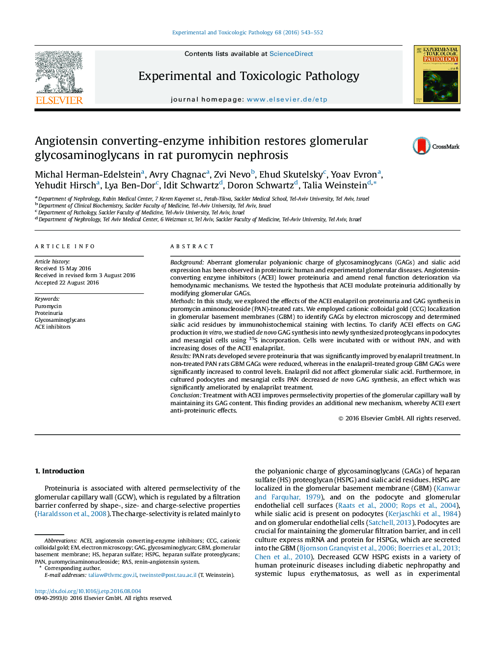 Angiotensin converting-enzyme inhibition restores glomerular glycosaminoglycans in rat puromycin nephrosis