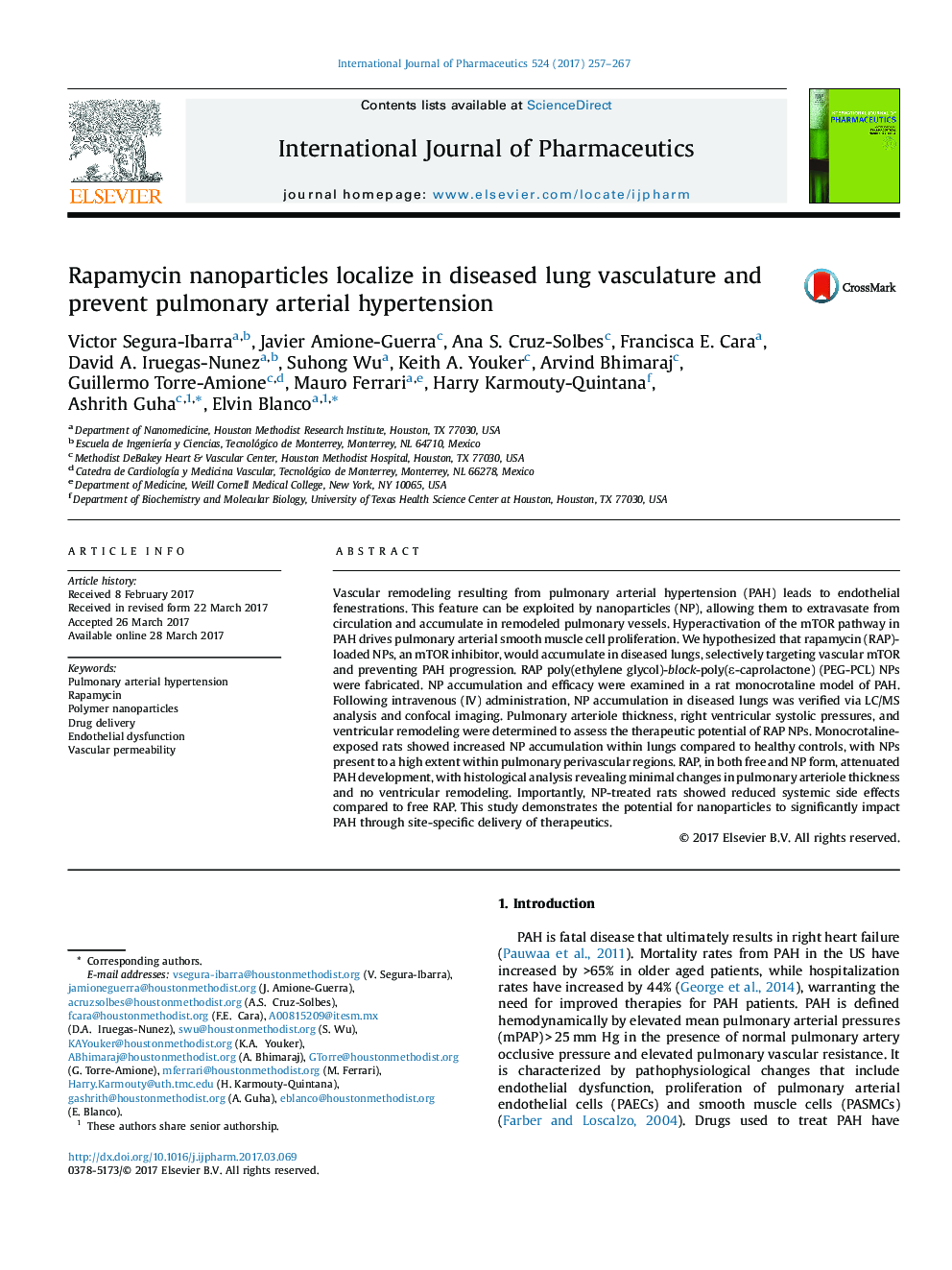 Rapamycin nanoparticles localize in diseased lung vasculature and prevent pulmonary arterial hypertension