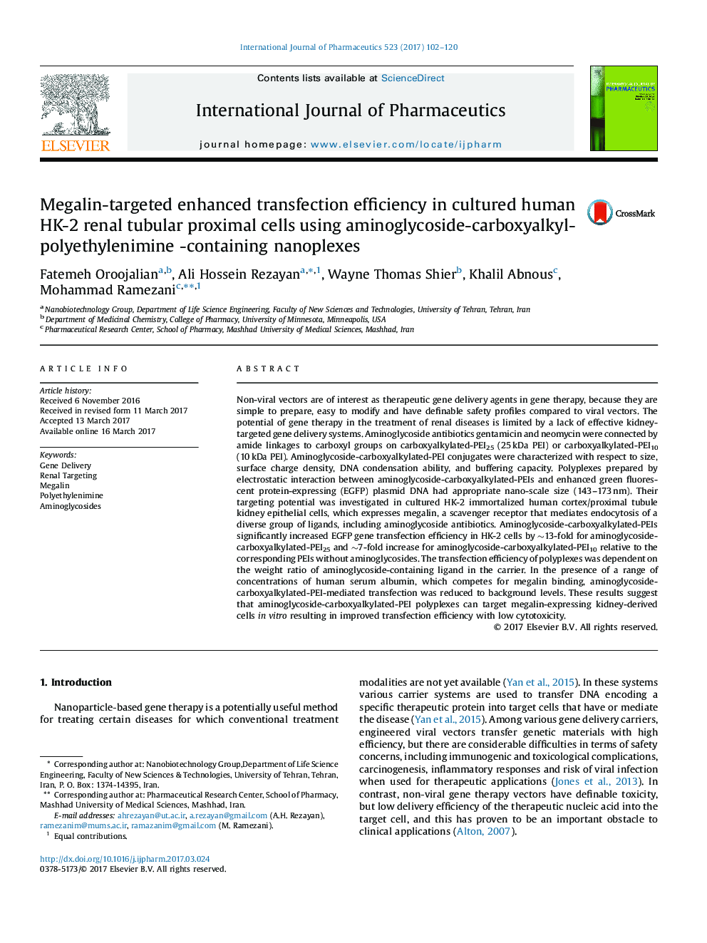 Megalin-targeted enhanced transfection efficiency in cultured human HK-2 renal tubular proximal cells using aminoglycoside-carboxyalkyl- polyethylenimine -containing nanoplexes