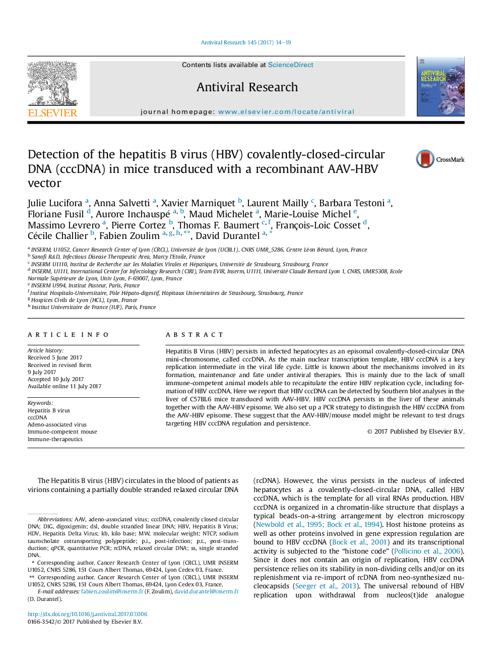 Detection of the hepatitis B virus (HBV) covalently-closed-circular DNA (cccDNA) in mice transduced with a recombinant AAV-HBV vector