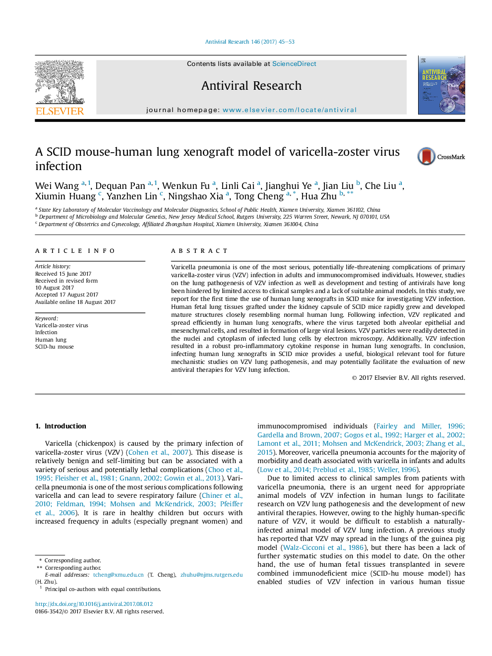 A SCID mouse-human lung xenograft model of varicella-zoster virus infection