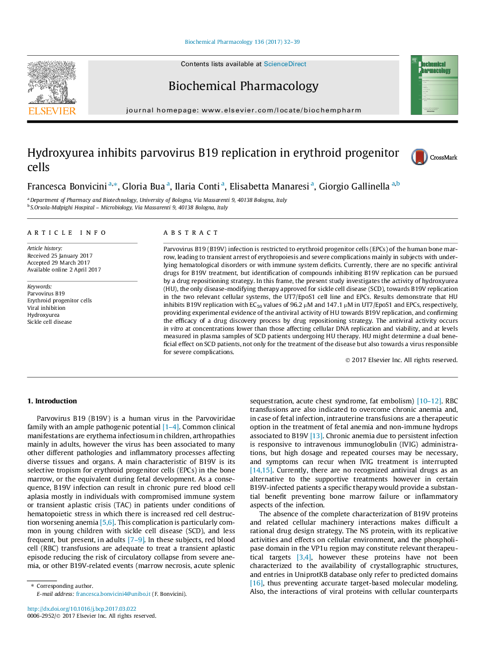 Hydroxyurea inhibits parvovirus B19 replication in erythroid progenitor cells