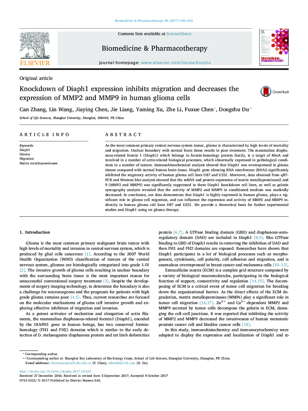 Knockdown of Diaph1 expression inhibits migration and decreases the expression of MMP2 and MMP9 in human glioma cells