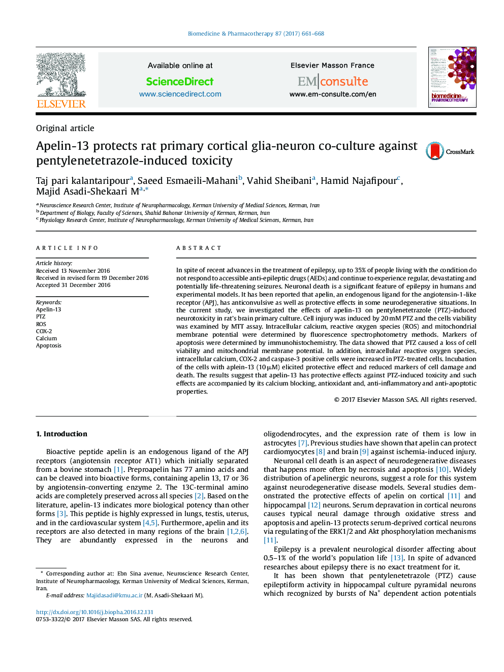 Apelin-13 protects rat primary cortical glia-neuron co-culture against pentylenetetrazole-induced toxicity