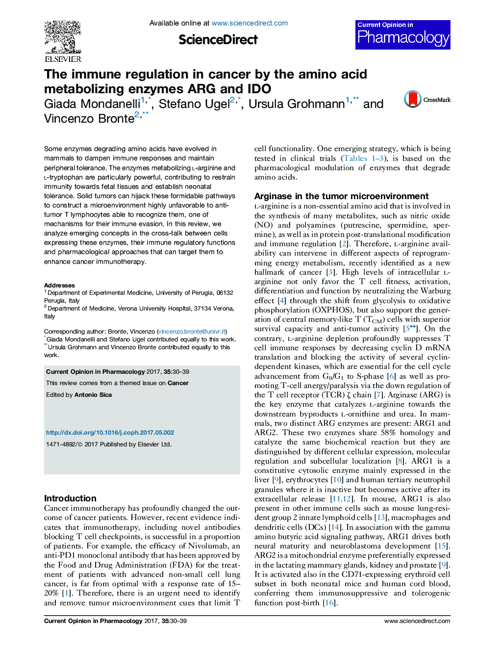 The immune regulation in cancer by the amino acid metabolizing enzymes ARG and IDO
