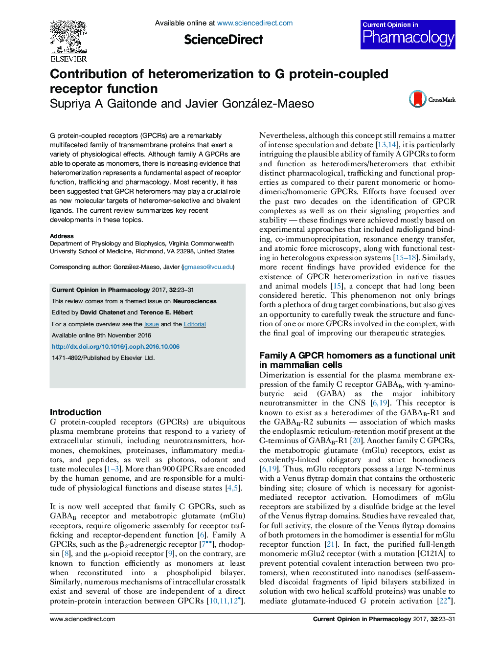 Contribution of heteromerization to G protein-coupled receptor function