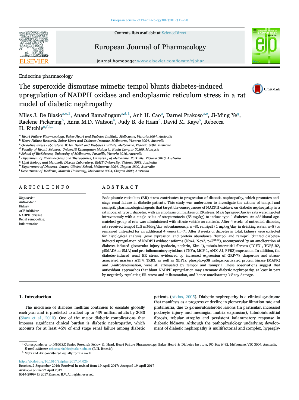 The superoxide dismutase mimetic tempol blunts diabetes-induced upregulation of NADPH oxidase and endoplasmic reticulum stress in a rat model of diabetic nephropathy