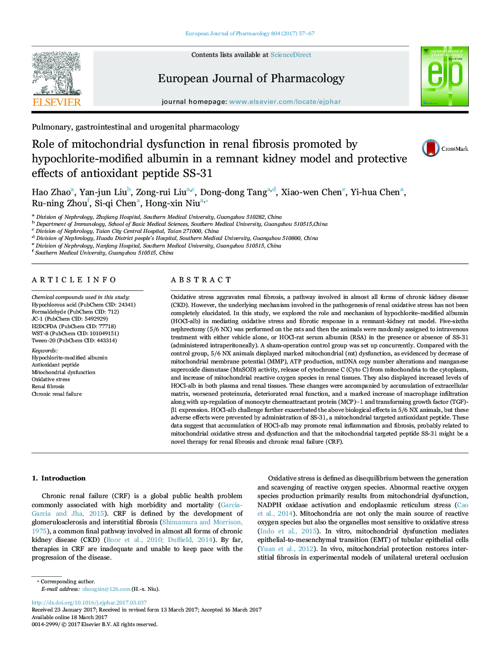 Role of mitochondrial dysfunction in renal fibrosis promoted by hypochlorite-modified albumin in a remnant kidney model and protective effects of antioxidant peptide SS-31