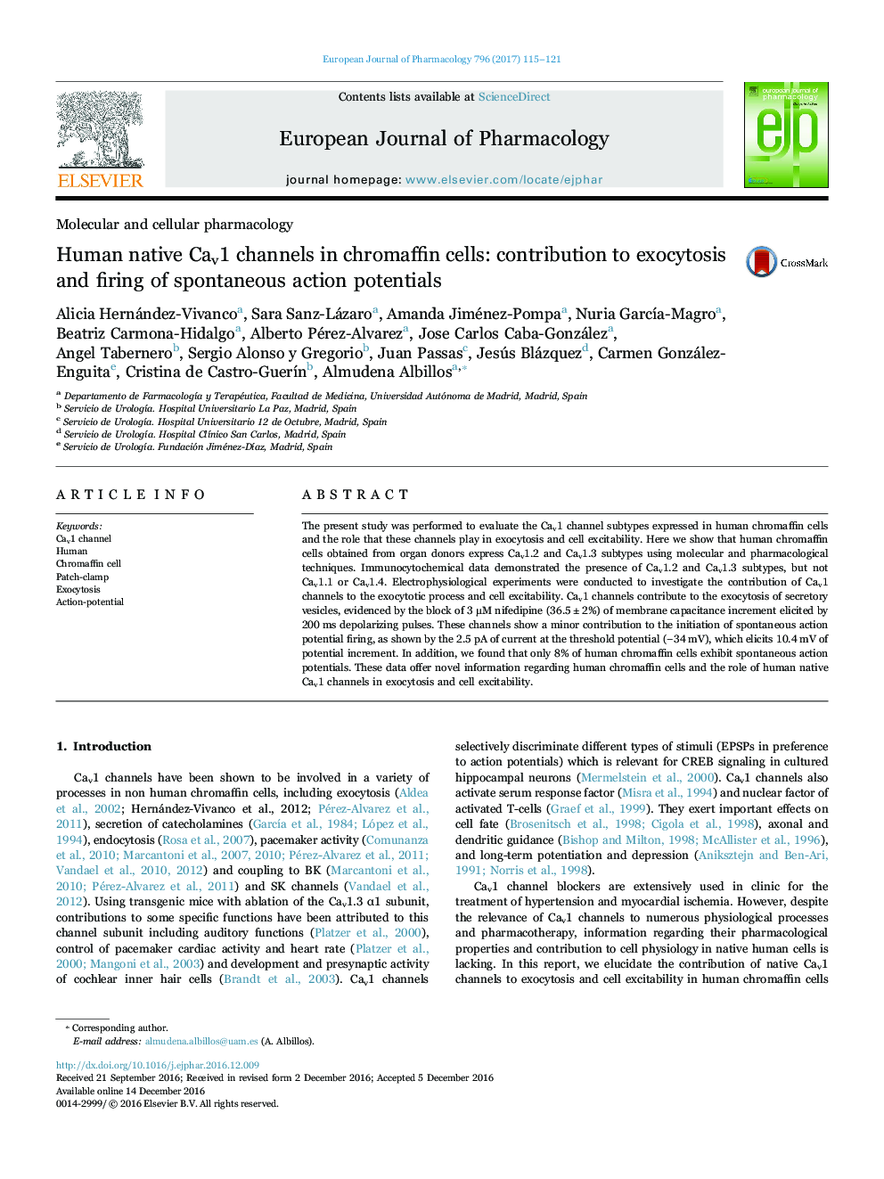 Human native Cav1 channels in chromaffin cells: contribution to exocytosis and firing of spontaneous action potentials