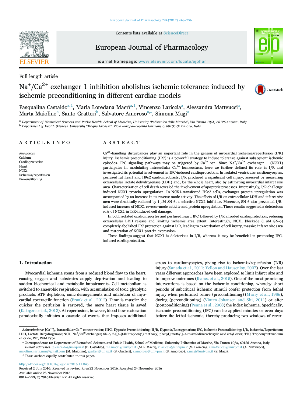 Na+/Ca2+ exchanger 1 inhibition abolishes ischemic tolerance induced by ischemic preconditioning in different cardiac models