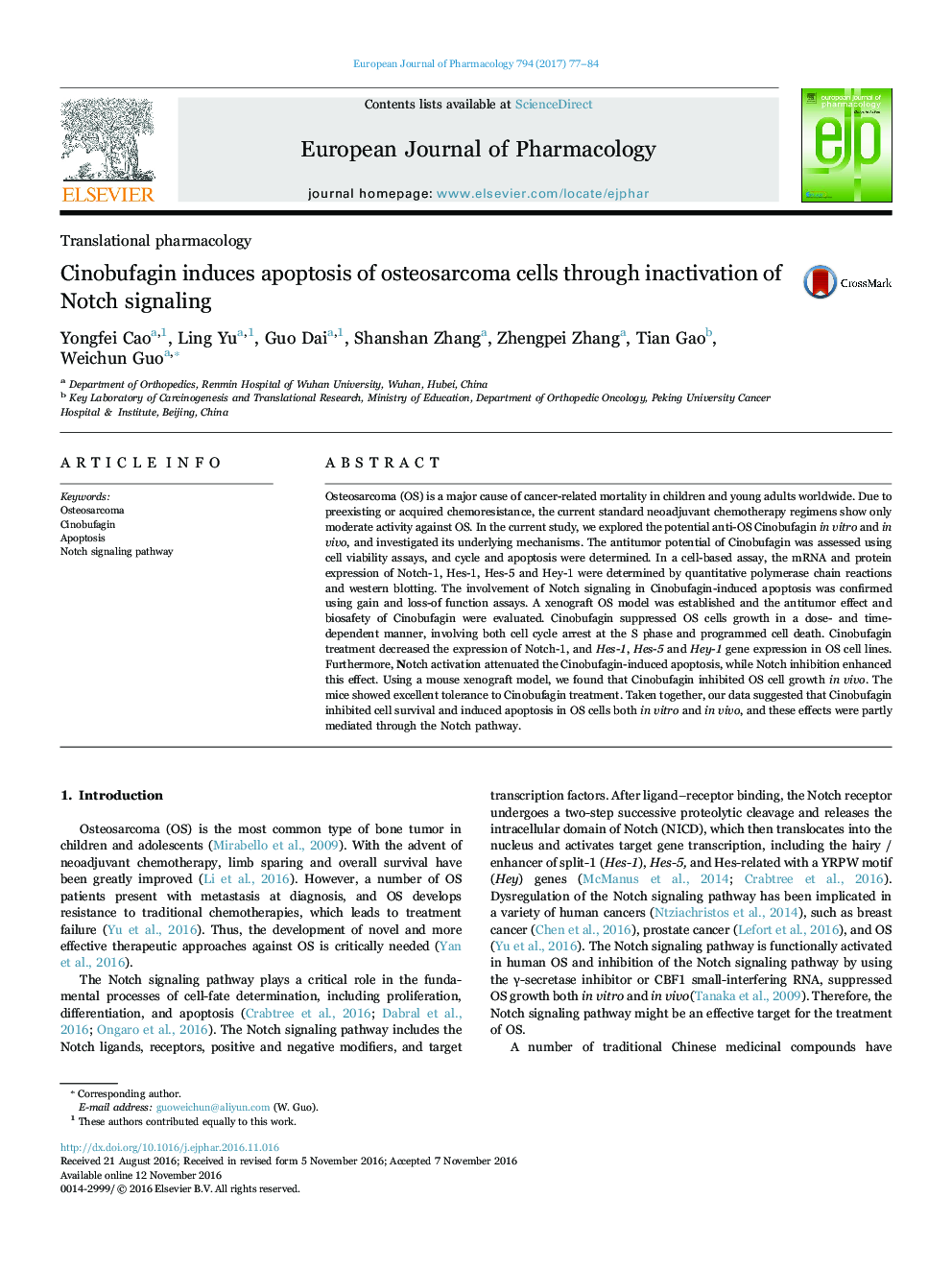 Cinobufagin induces apoptosis of osteosarcoma cells through inactivation of Notch signaling