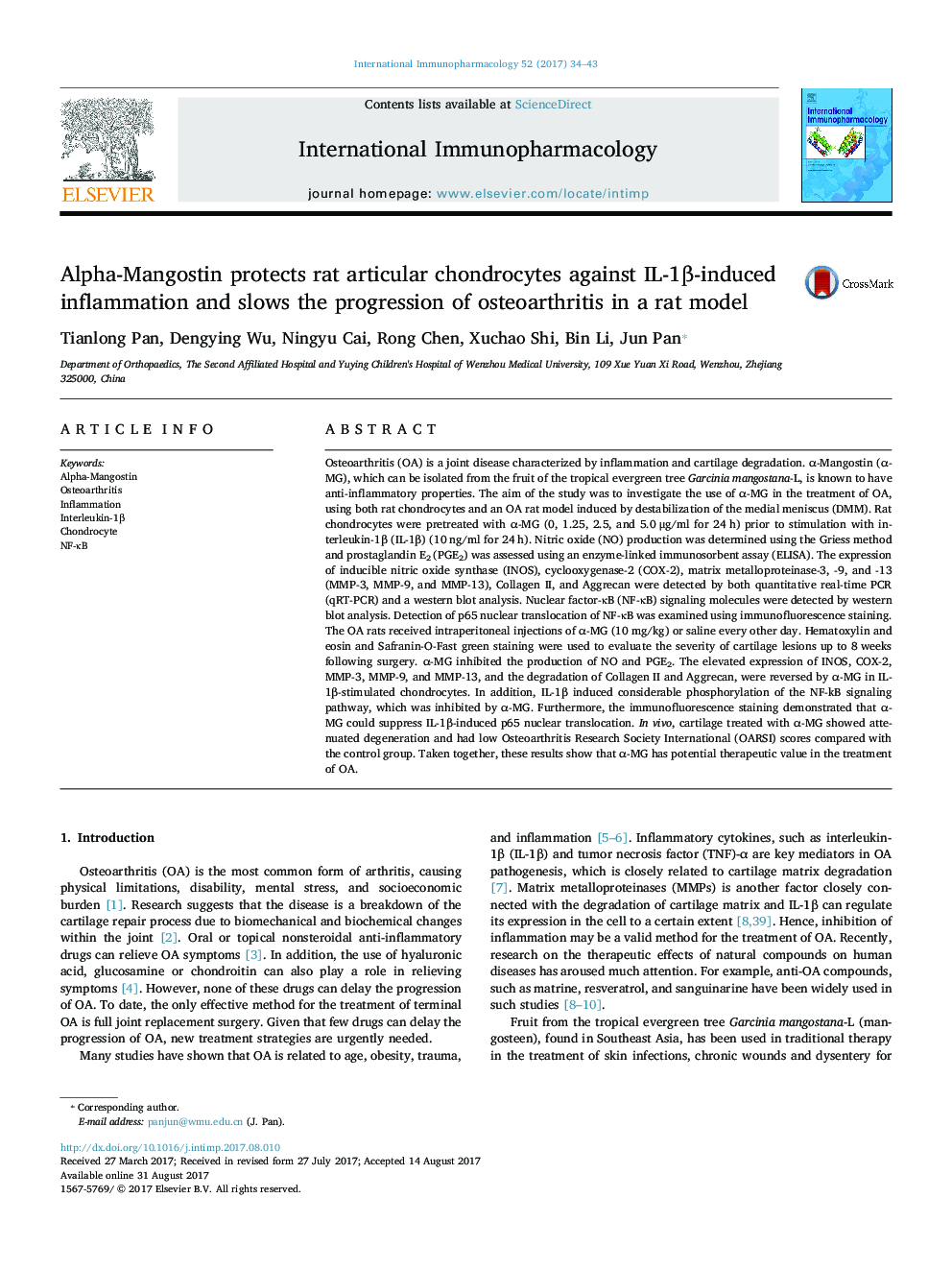 Alpha-Mangostin protects rat articular chondrocytes against IL-1Î²-induced inflammation and slows the progression of osteoarthritis in a rat model