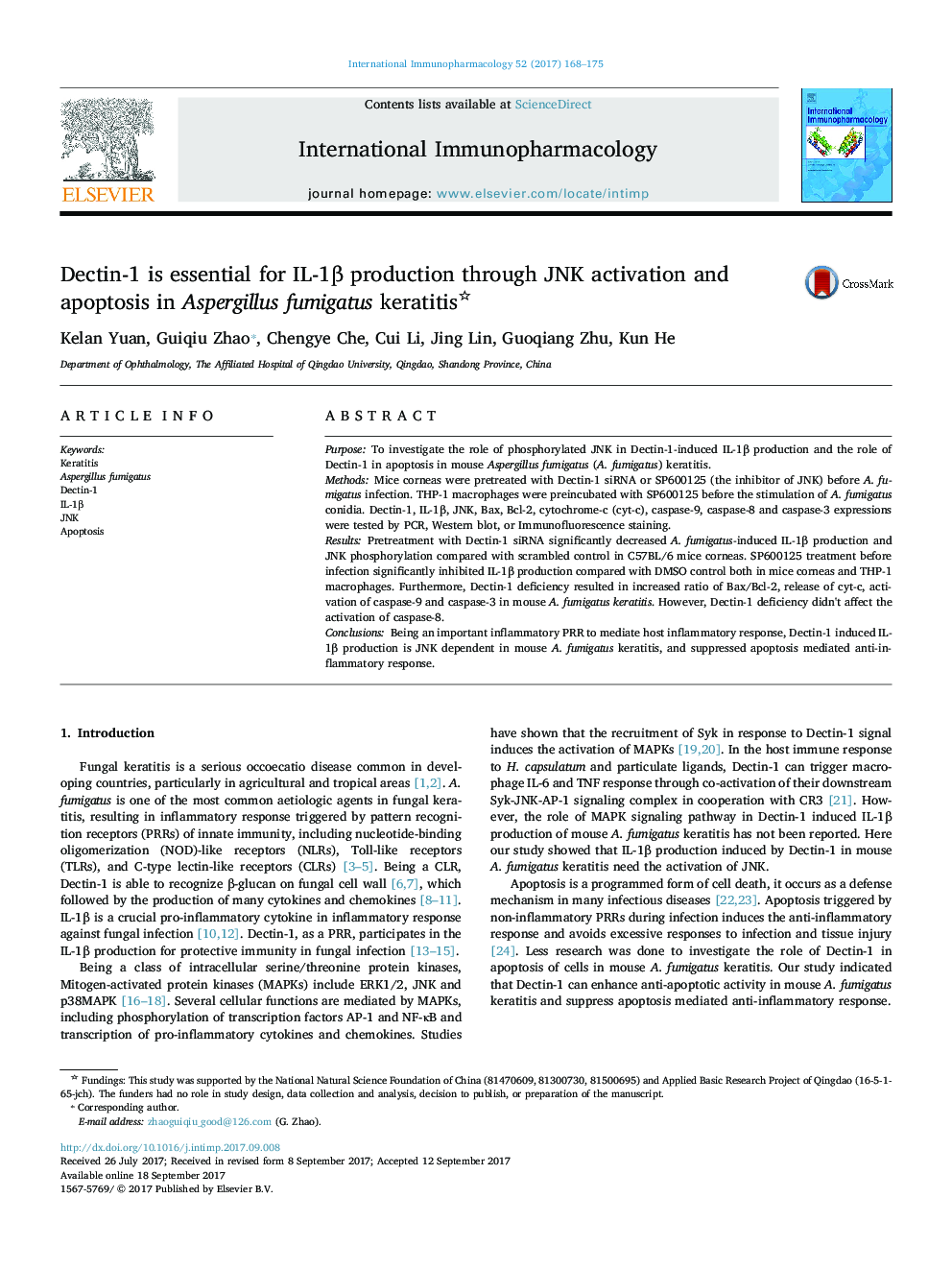 Dectin-1 is essential for IL-1Î² production through JNK activation and apoptosis in Aspergillus fumigatus keratitis