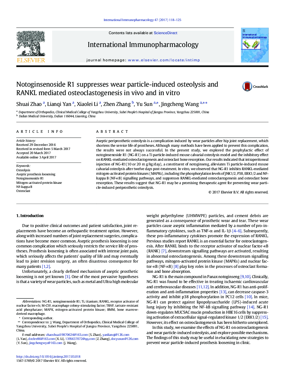 Notoginsenoside R1 suppresses wear particle-induced osteolysis and RANKL mediated osteoclastogenesis in vivo and in vitro