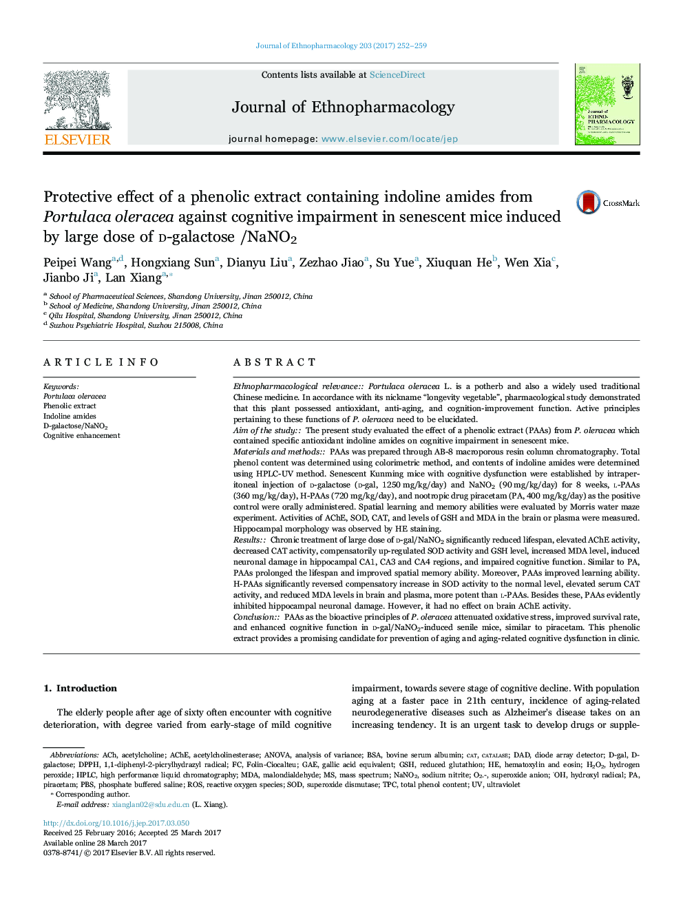 Protective effect of a phenolic extract containing indoline amides from Portulaca oleracea against cognitive impairment in senescent mice induced by large dose of D-galactose /NaNO2