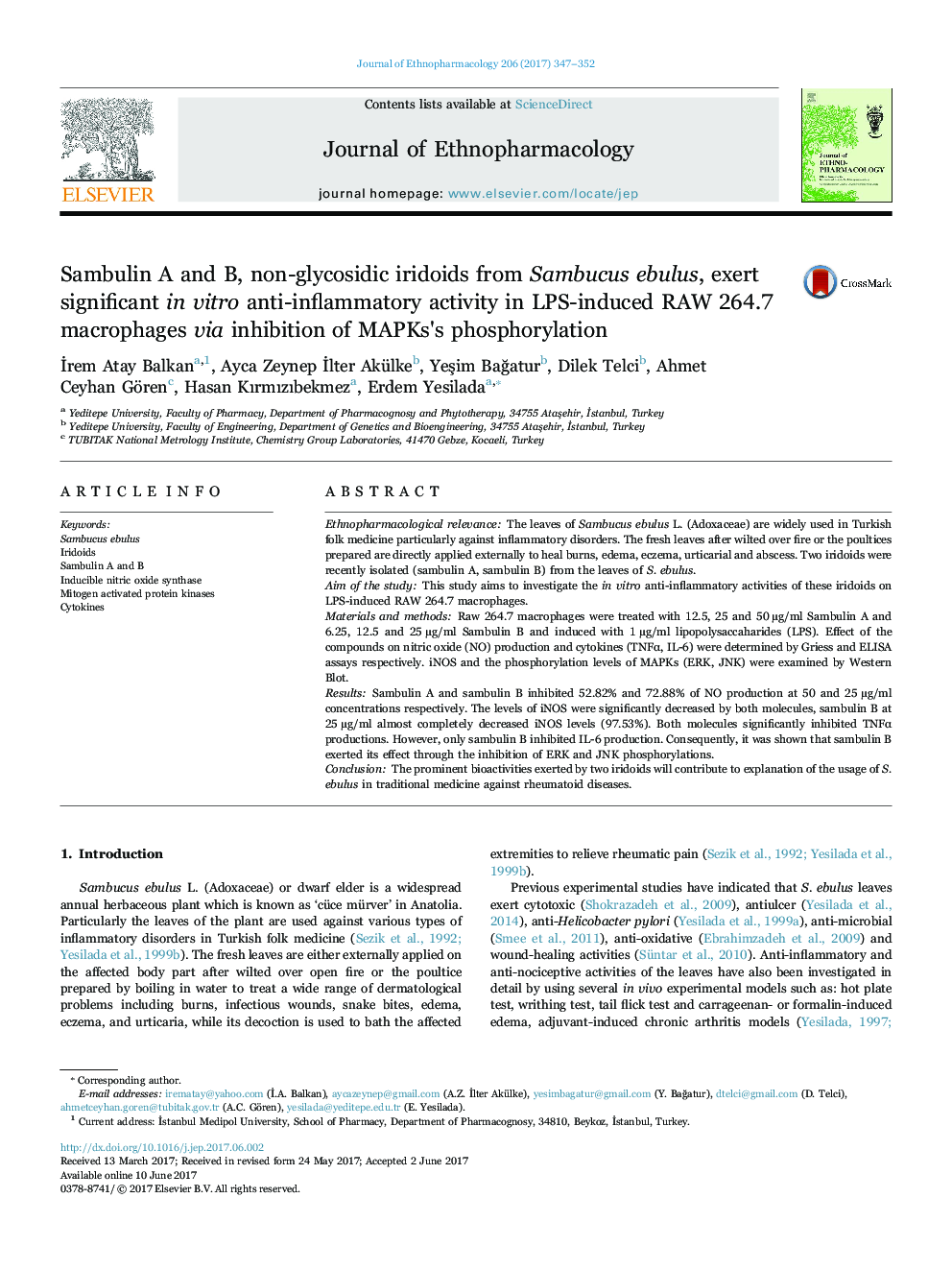 Sambulin A and B, non-glycosidic iridoids from Sambucus ebulus, exert significant in vitro anti-inflammatory activity in LPS-induced RAW 264.7 macrophages via inhibition of MAPKs's phosphorylation