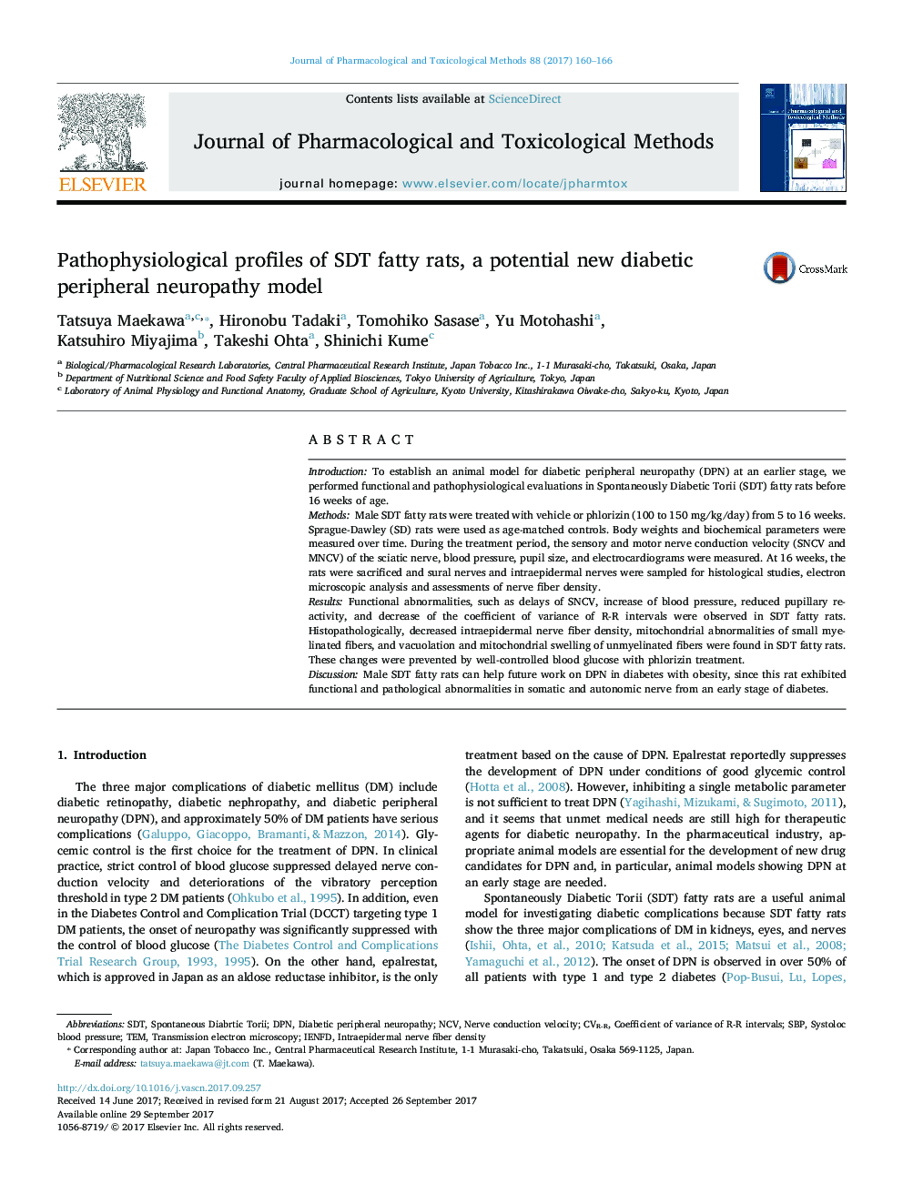 Pathophysiological profiles of SDT fatty rats, a potential new diabetic peripheral neuropathy model