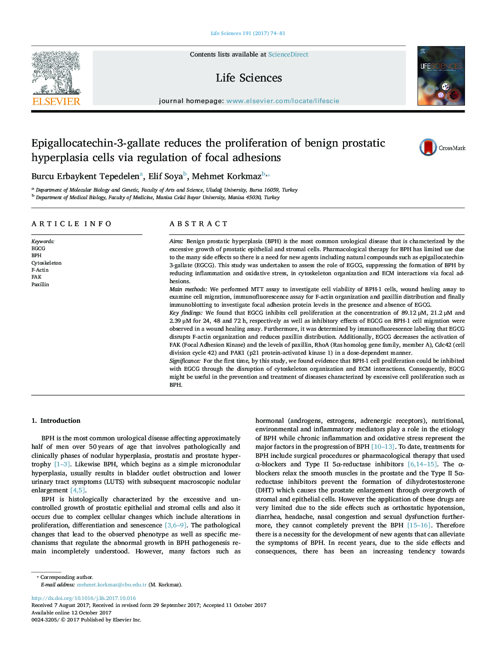 Epigallocatechin-3-gallate reduces the proliferation of benign prostatic hyperplasia cells via regulation of focal adhesions