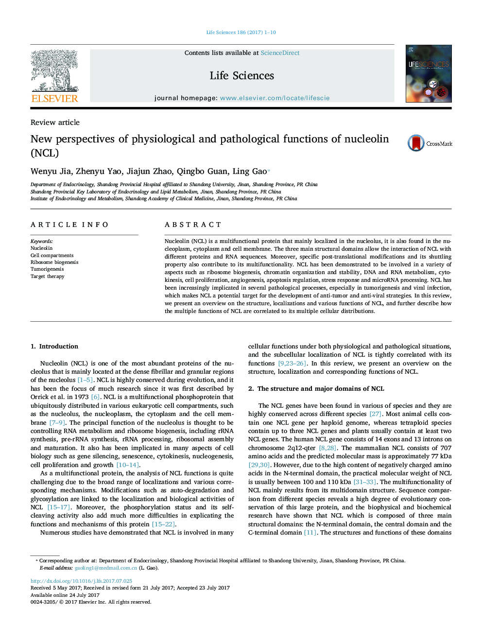 New perspectives of physiological and pathological functions of nucleolin (NCL)