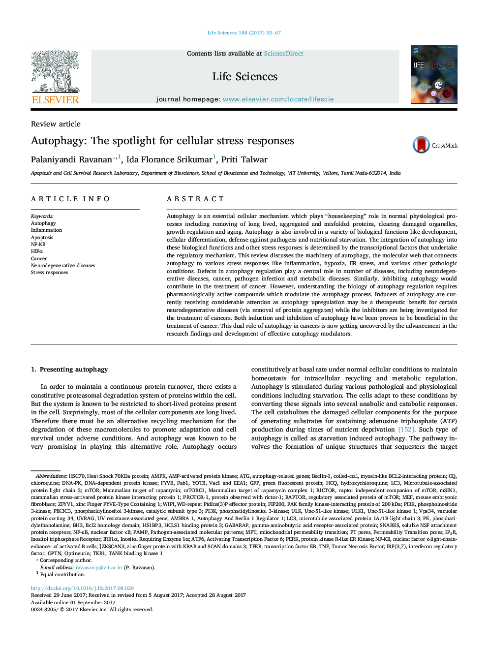 Autophagy: The spotlight for cellular stress responses