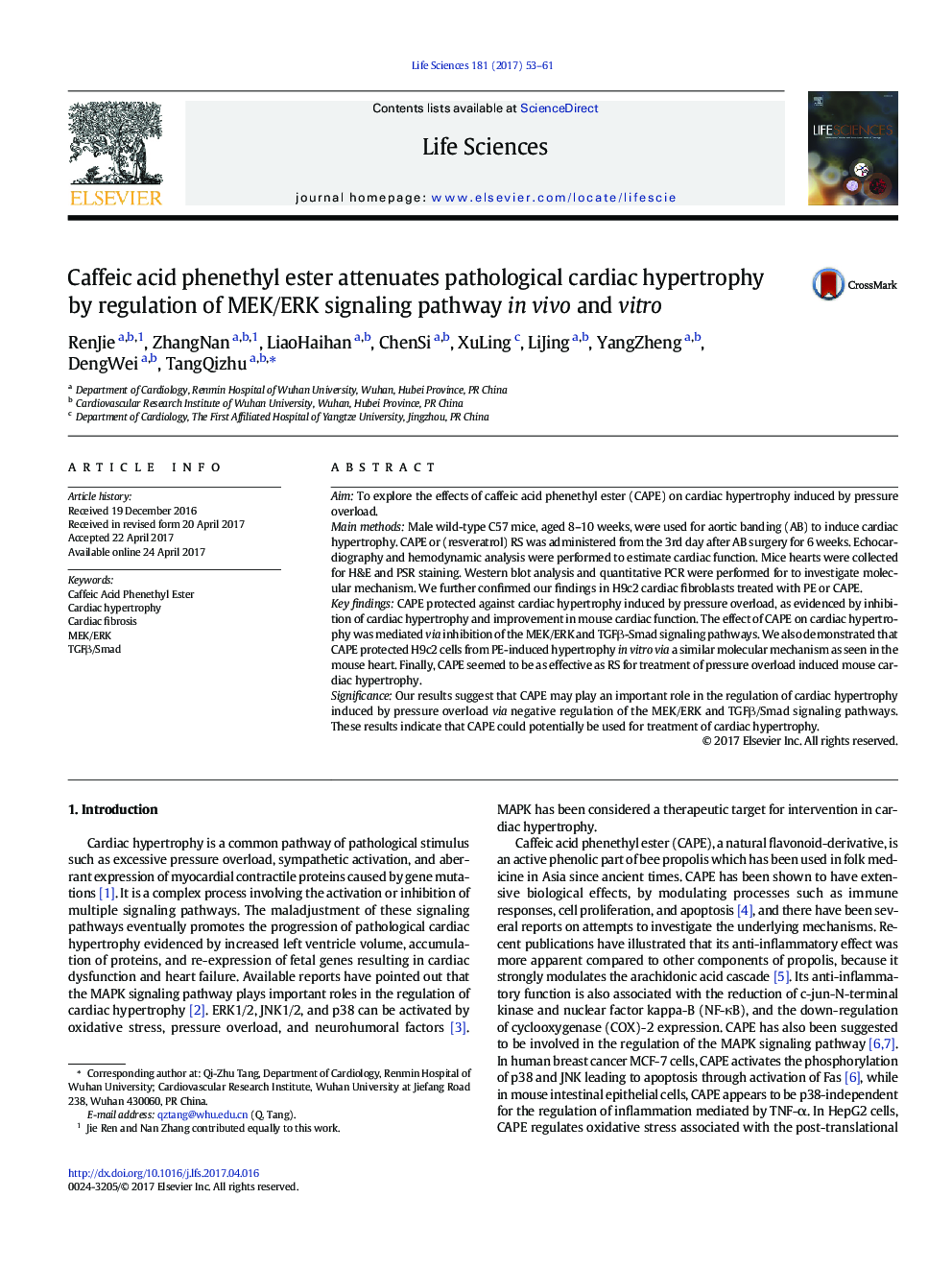 Caffeic acid phenethyl ester attenuates pathological cardiac hypertrophy by regulation of MEK/ERK signaling pathway in vivo and vitro