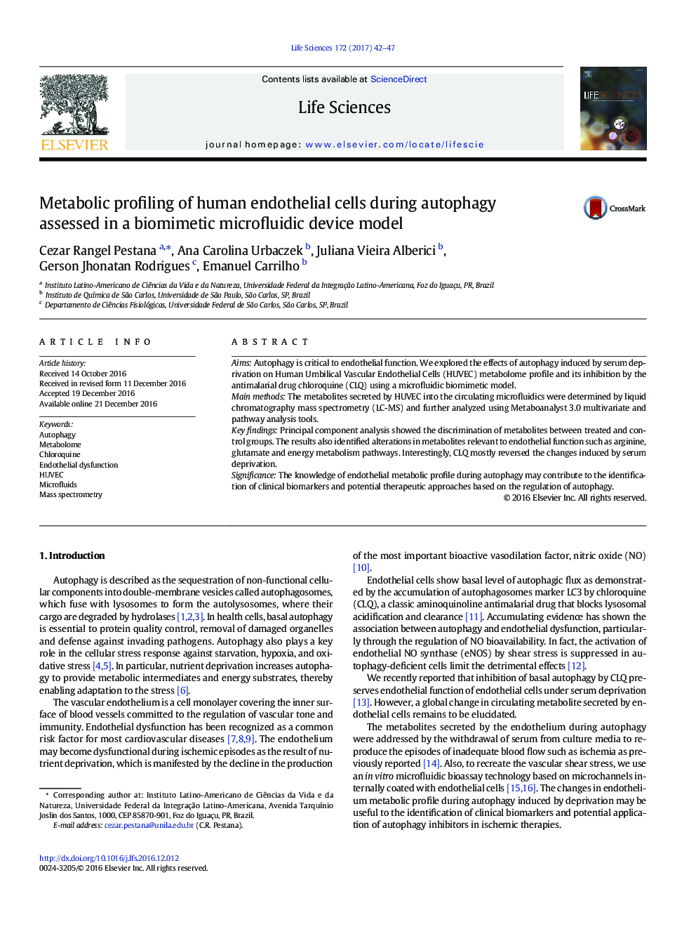 Metabolic profiling of human endothelial cells during autophagy assessed in a biomimetic microfluidic device model