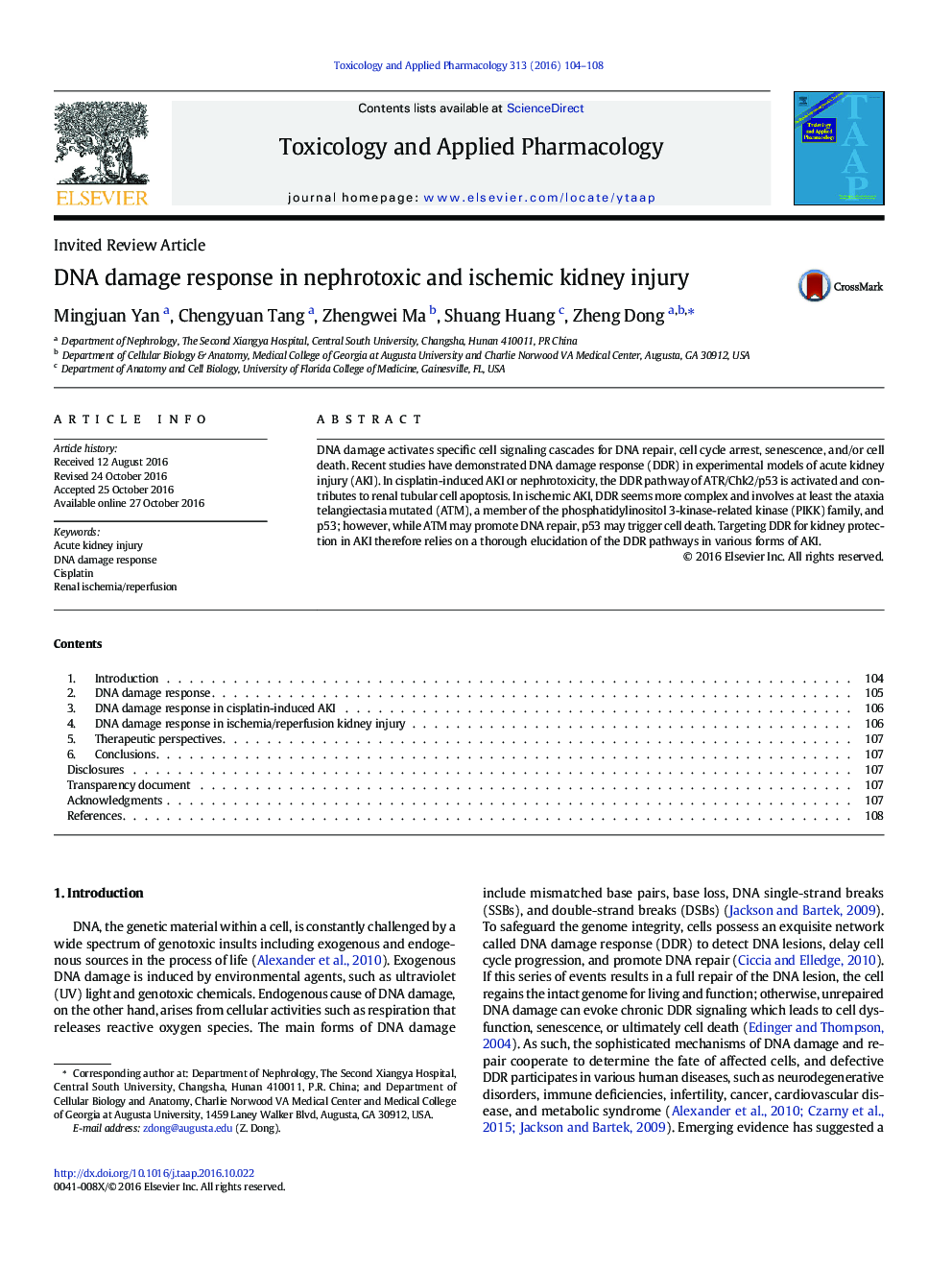 Invited Review ArticleDNA damage response in nephrotoxic and ischemic kidney injury