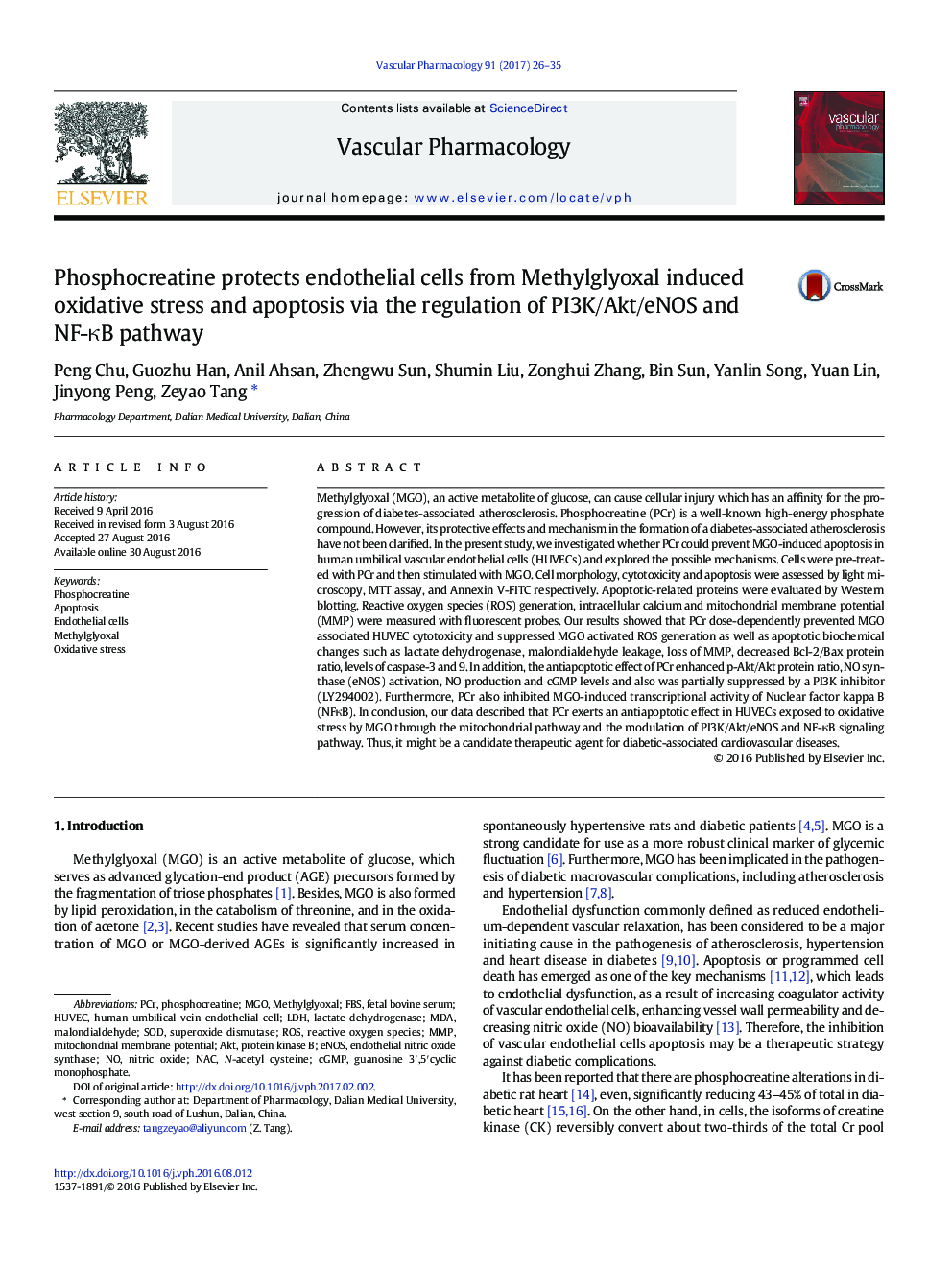 Phosphocreatine protects endothelial cells from Methylglyoxal induced oxidative stress and apoptosis via the regulation of PI3K/Akt/eNOS and NF-ÎºB pathway