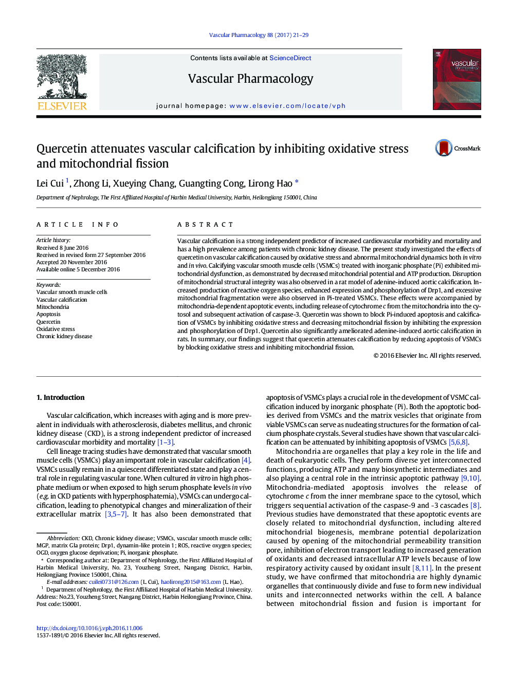 Quercetin attenuates vascular calcification by inhibiting oxidative stress and mitochondrial fission