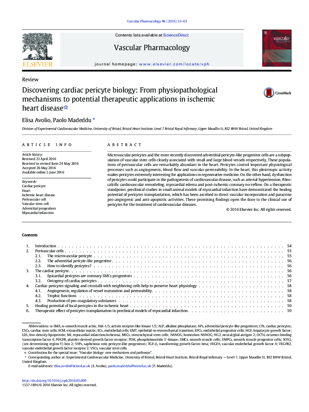 Discovering cardiac pericyte biology: From physiopathological mechanisms to potential therapeutic applications in ischemic heart disease