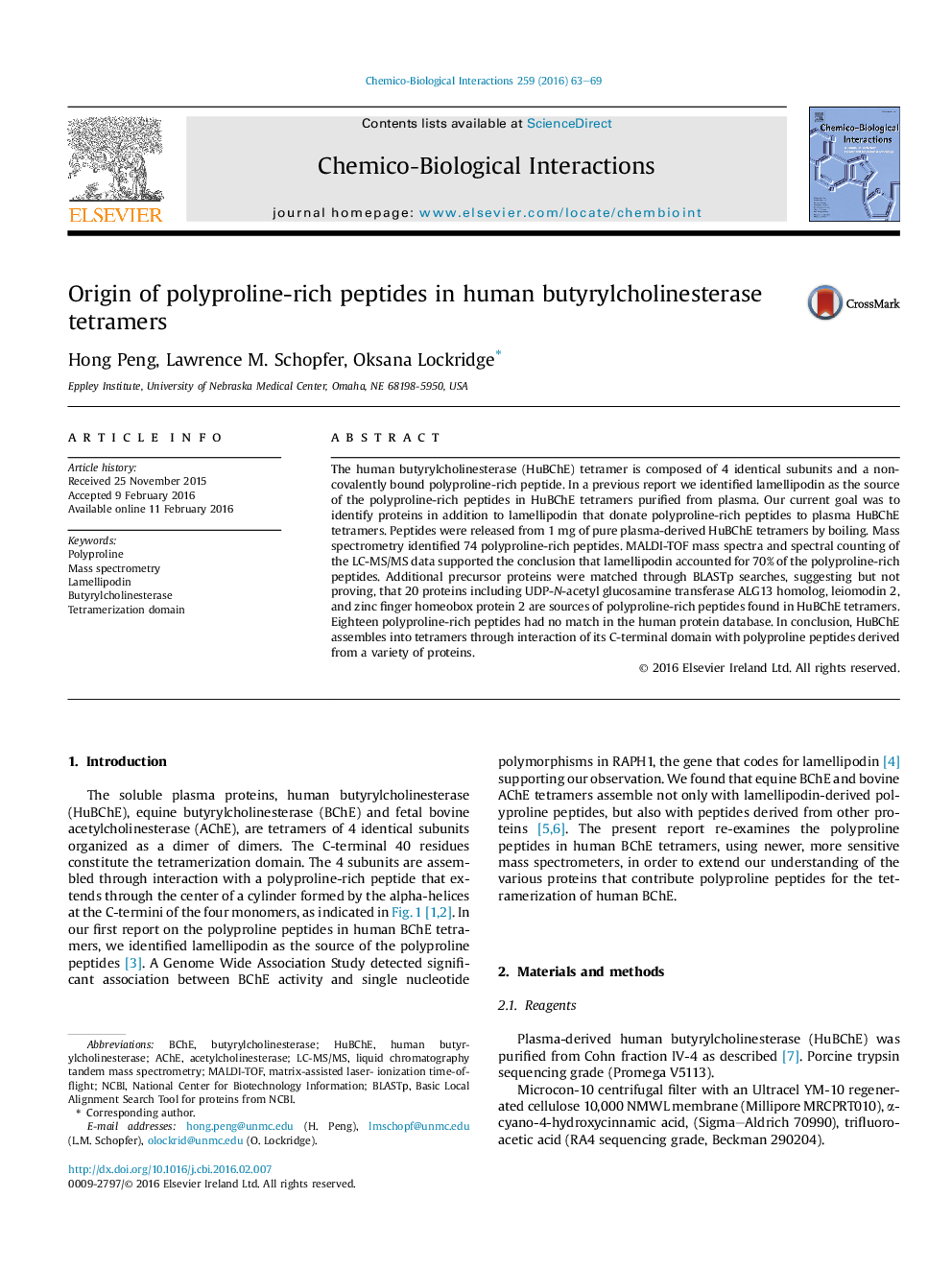 Origin of polyproline-rich peptides in human butyrylcholinesterase tetramers