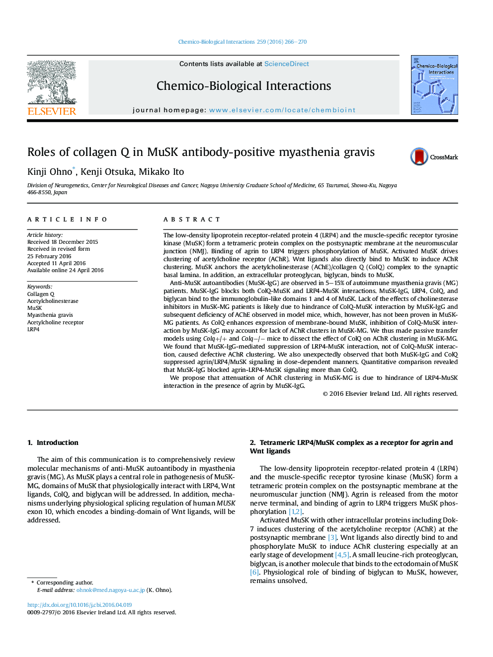 Roles of collagen Q in MuSK antibody-positive myasthenia gravis