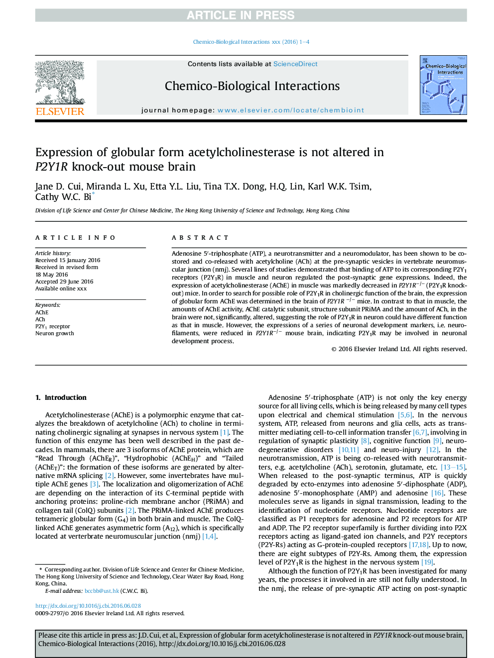 Expression of globular form acetylcholinesterase is not altered in P2Y1R knock-out mouse brain