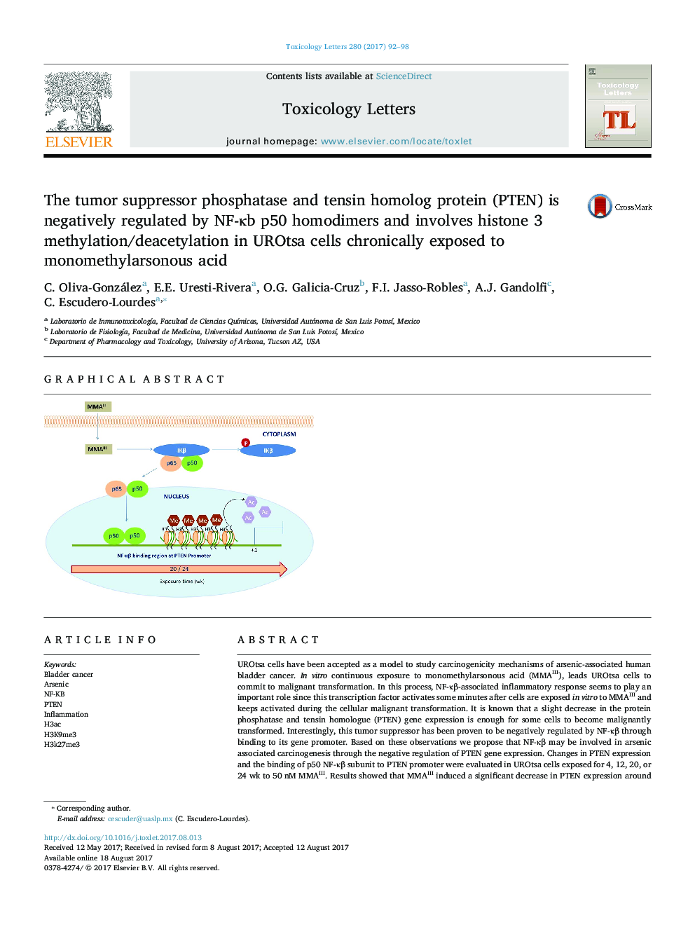 The tumor suppressor phosphatase and tensin homolog protein (PTEN) is negatively regulated by NF-Îºb p50 homodimers and involves histone 3 methylation/deacetylation in UROtsa cells chronically exposed to monomethylarsonous acid