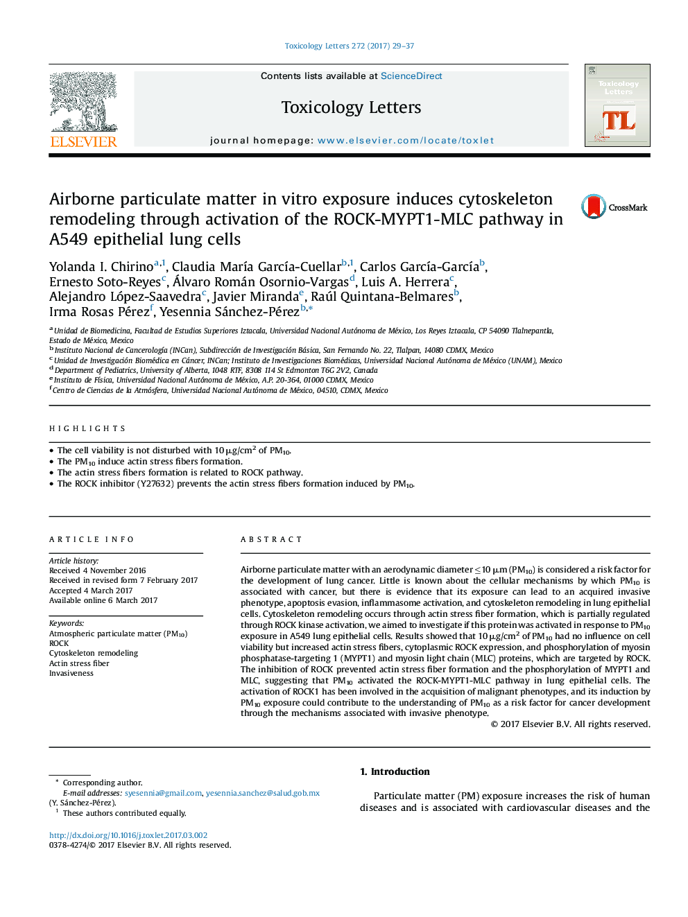 Airborne particulate matter in vitro exposure induces cytoskeleton remodeling through activation of the ROCK-MYPT1-MLC pathway in A549 epithelial lung cells