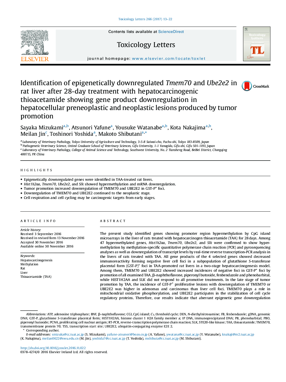 Identification of epigenetically downregulated Tmem70 and Ube2e2 in rat liver after 28-day treatment with hepatocarcinogenic thioacetamide showing gene product downregulation in hepatocellular preneoplastic and neoplastic lesions produced by tumor promoti