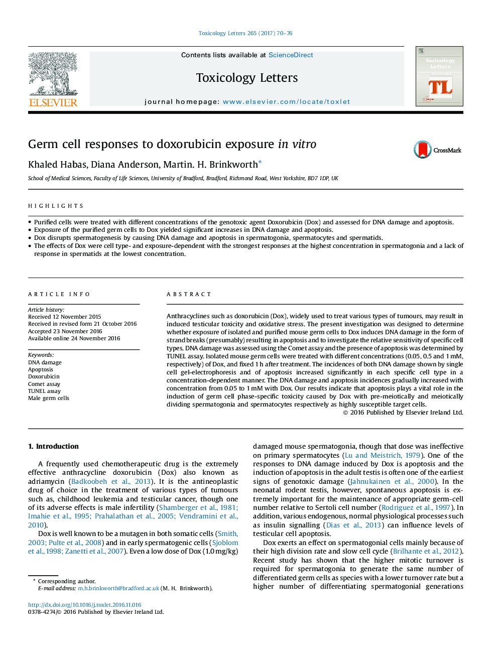 Germ cell responses to doxorubicin exposure in vitro